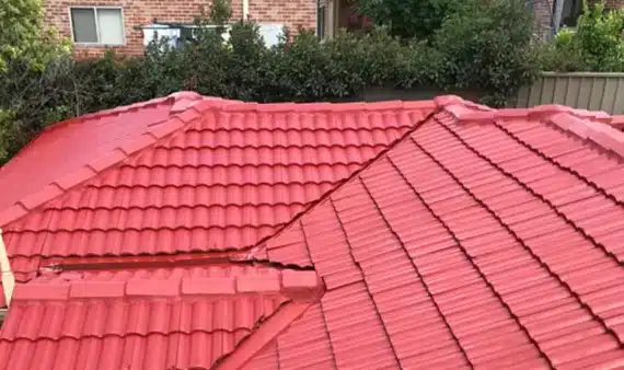 Roof Painting