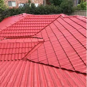 roof painting